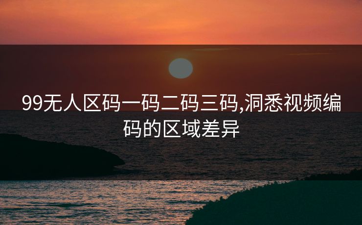 99无人区码一码二码三码,洞悉视频编码的区域差异