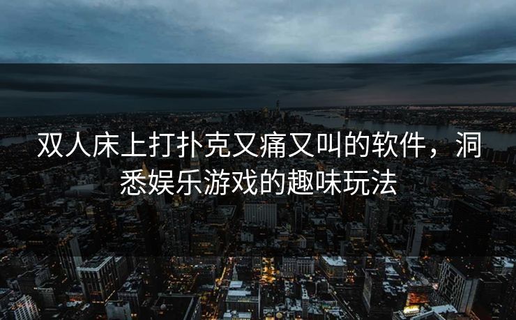 双人床上打扑克又痛又叫的软件,洞悉娱乐游戏的趣味玩法