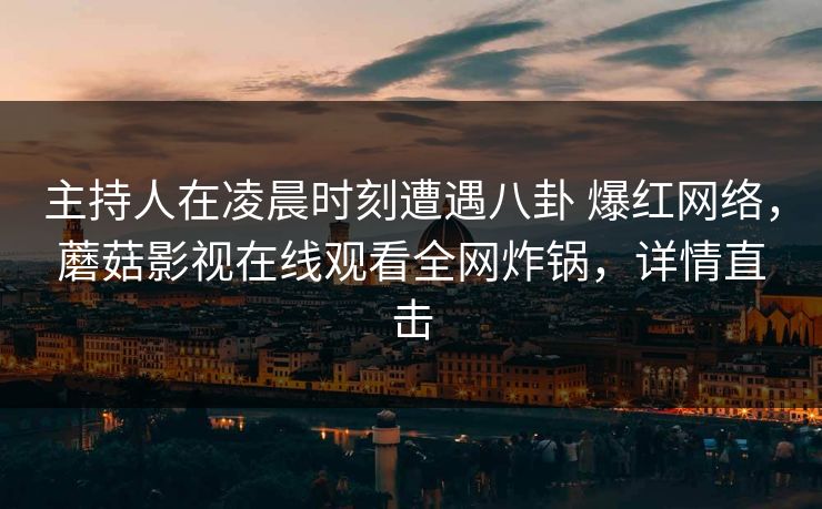 主持人在凌晨时刻遭遇八卦 爆红网络，蘑菇影视在线观看全网炸锅，详情直击