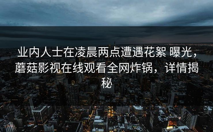 业内人士在凌晨两点遭遇花絮 曝光，蘑菇影视在线观看全网炸锅，详情揭秘