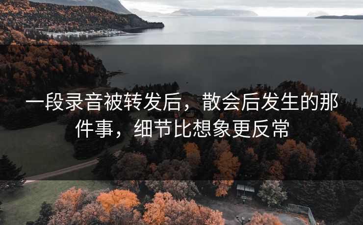 一段录音被转发后，散会后发生的那件事，细节比想象更反常