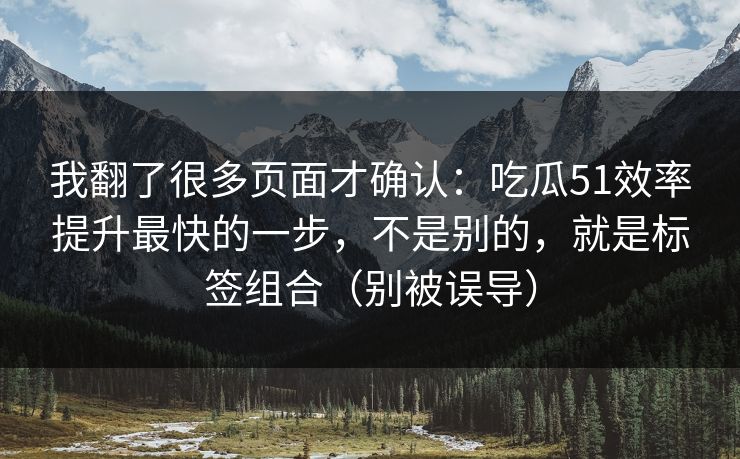 我翻了很多页面才确认：吃瓜51效率提升最快的一步，不是别的，就是标签组合（别被误导）
