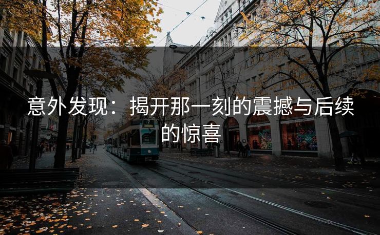 意外发现：揭开那一刻的震撼与后续的惊喜